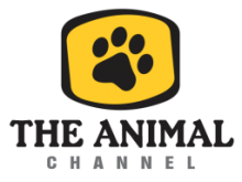 THE ANIMAL CHANNEL